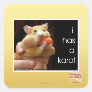 I has a karot square sticker
