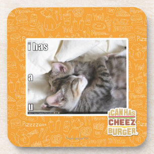 I has a u coaster