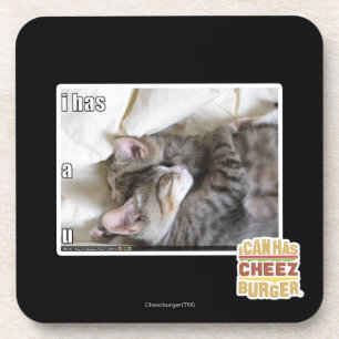 I has a u coaster