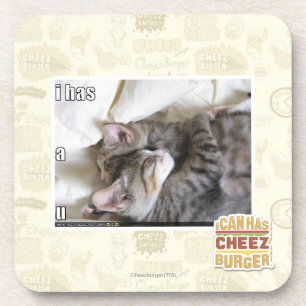 I has a u coaster