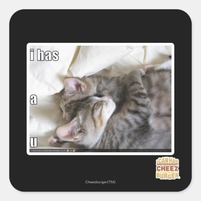 I has a u square sticker (Front)