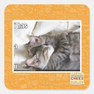 I has a u square sticker