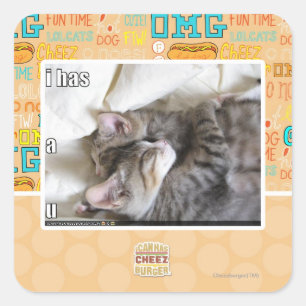 I has a u square sticker