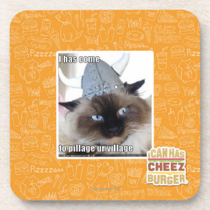 I has come to pillage ur village coaster