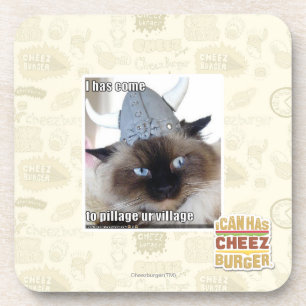 I has come to pillage ur village coaster