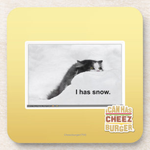 I has snow. coaster