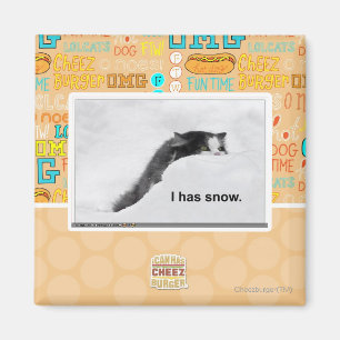 I has snow. magnet
