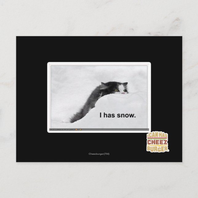 I has snow. postcard (Front)