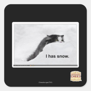 I has snow. square sticker