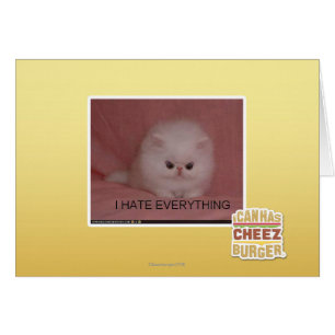 I hate everything