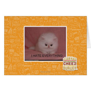 I hate everything