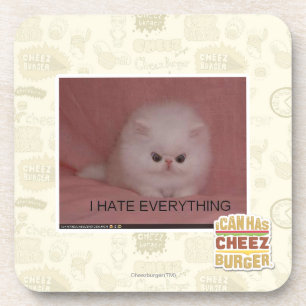 I hate everything coaster