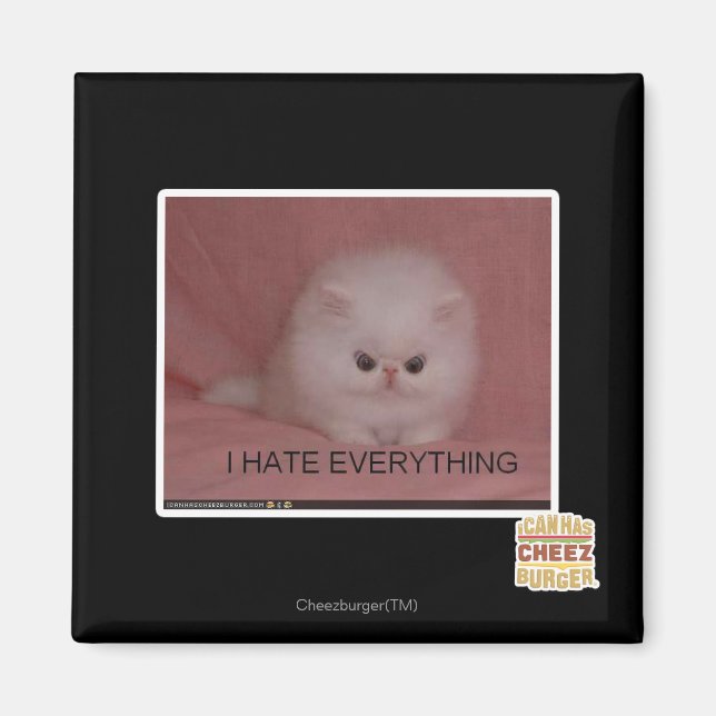 I hate everything magnet (Front)