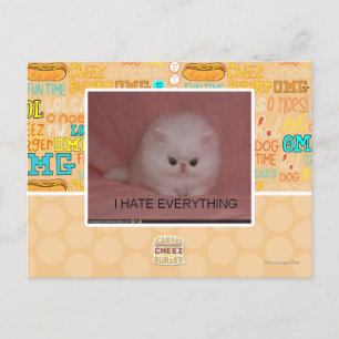 I hate everything postcard