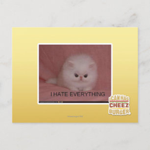 I hate everything postcard