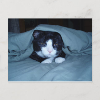 I Hate Mondays! Postcard