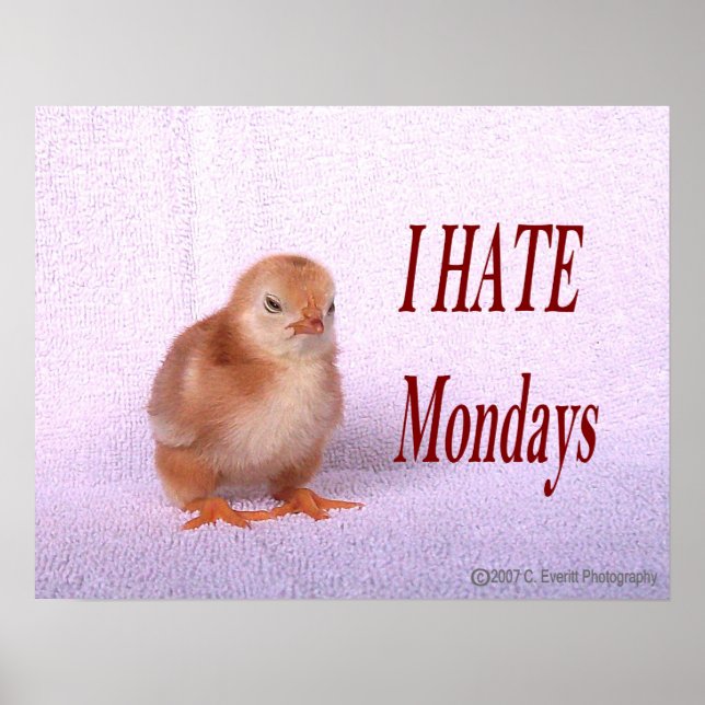 I HATE Mondays Poster (Front)
