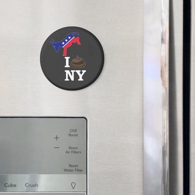 i hate new york magnet (In Situ (Fridge))