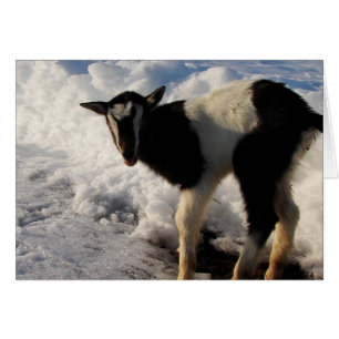 I hate Winter.  Here's Hoping Spring arrives soon.