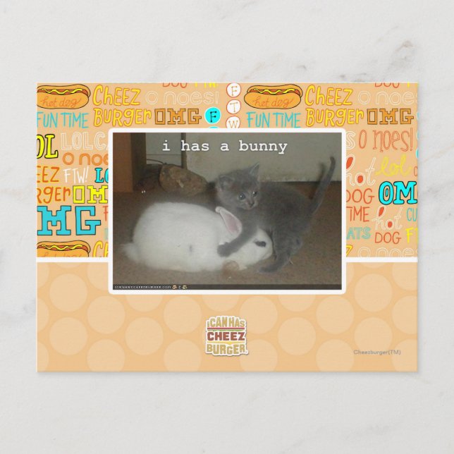 I have a bunny postcard (Front)