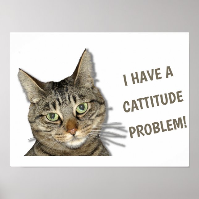 I have a cattitude problem! cute custom poster (Front)