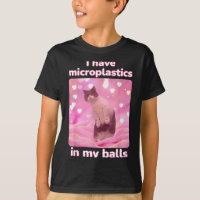 I Have Microplastics In My Pink Cat Meme Dank Meme