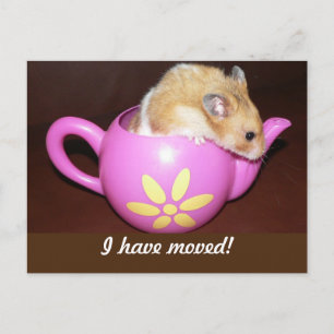I Have Moved Hamster Announcement Postcard