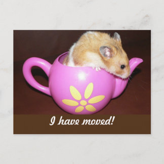 I Have Moved Hamster Announcement Postcard