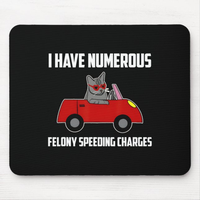 I Have Numerous Felony Speeding Charges Funny Cat  Mouse Pad (Front)