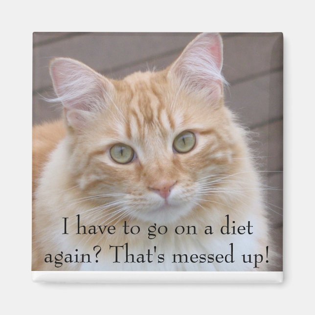 I have to go on a diet again? magnet (Front)