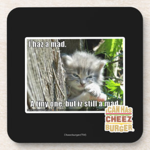 I haz a mad coaster