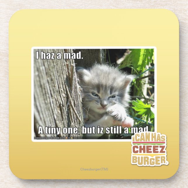 I haz a mad coaster (Front)