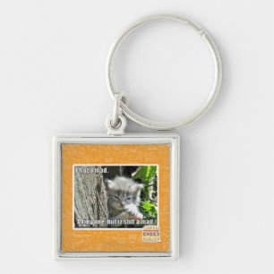 I haz a mad key ring