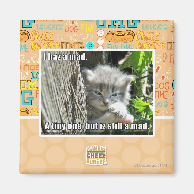 I haz a mad magnet (Front)