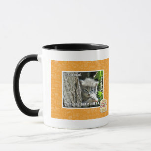 I haz a mad mug