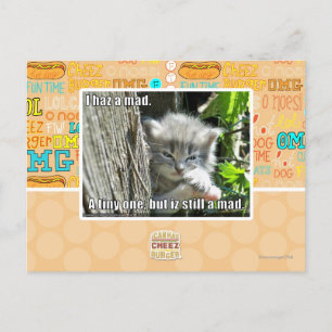I haz a mad postcard