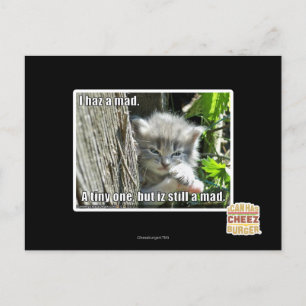 I haz a mad postcard