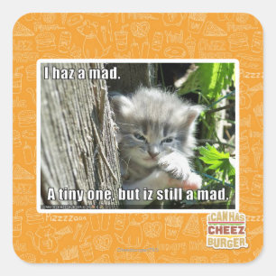 I haz a mad square sticker