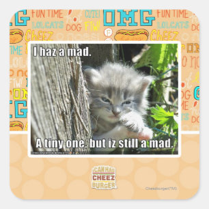 I haz a mad square sticker