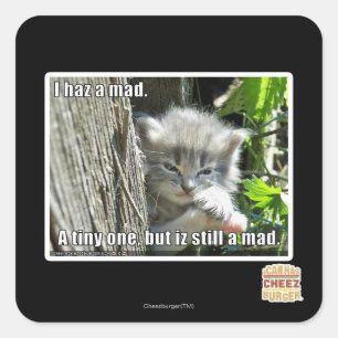 I haz a mad square sticker