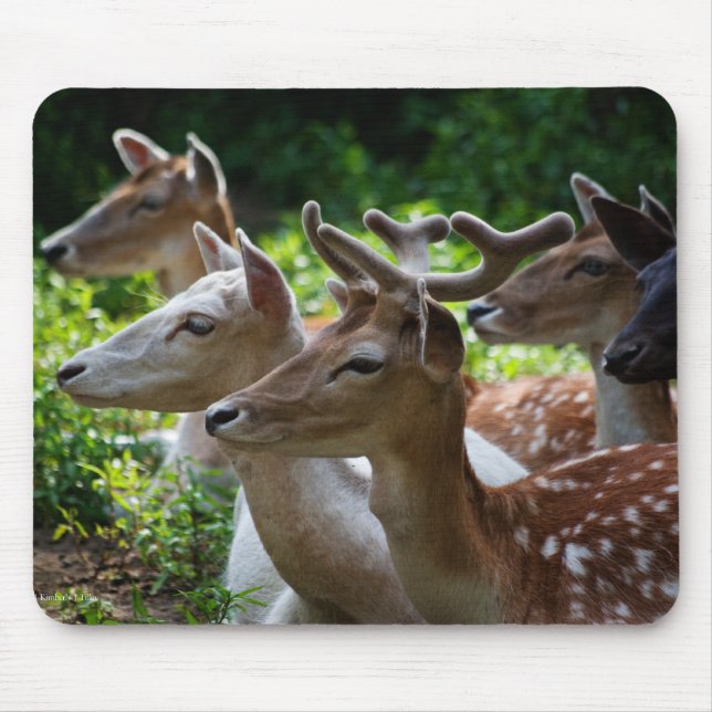 I Hear Mousepad (Front)