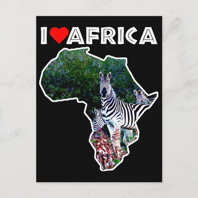 I Heart Africa Zebra Aloe Postcard (Front)