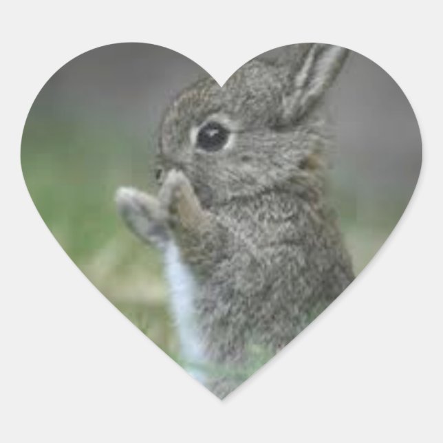 I HEART BUNNYS STICKER (Front)