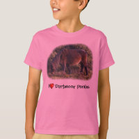 I heart Dartmoor Ponies t-shirt