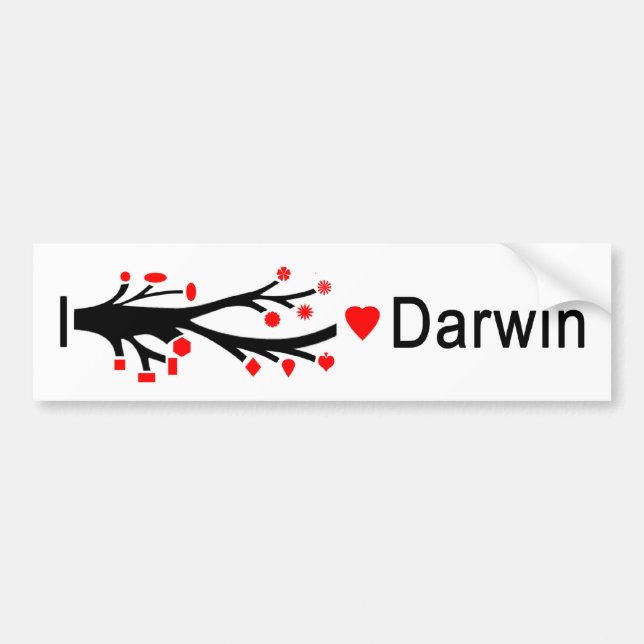 I heart Darwin Bumper Sticker (Front)