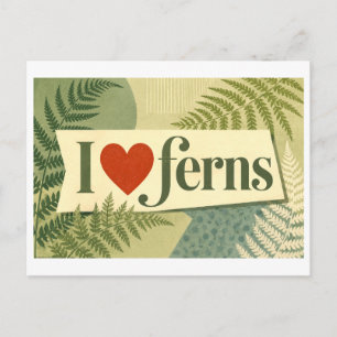 "I [Heart] Ferns" Postcard