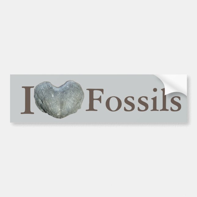 I Heart Fossils Bumper Sticker (Front)