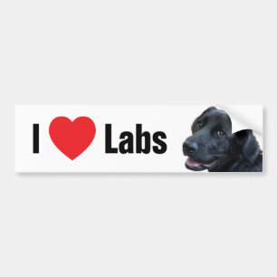 I Heart Labs Bumper Sticker