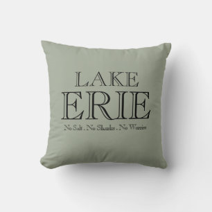 I heart Lake Erie Cushion