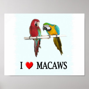 I "Heart Macaws Poster